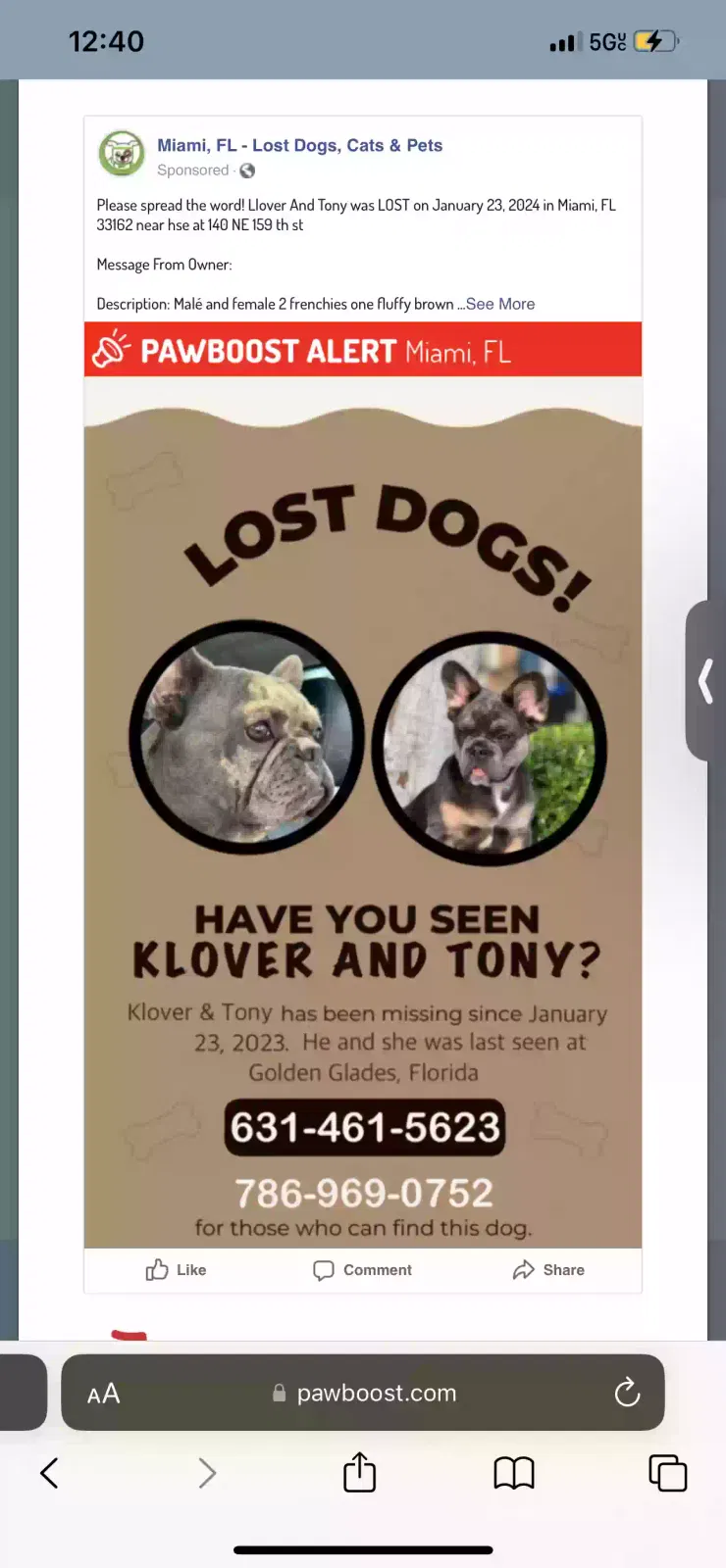 Lost dog in Miami, FL, 33162