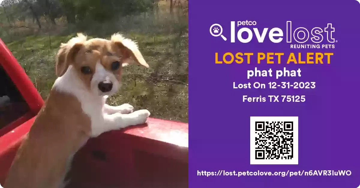 Lost dog in Ferris, TX, 75125