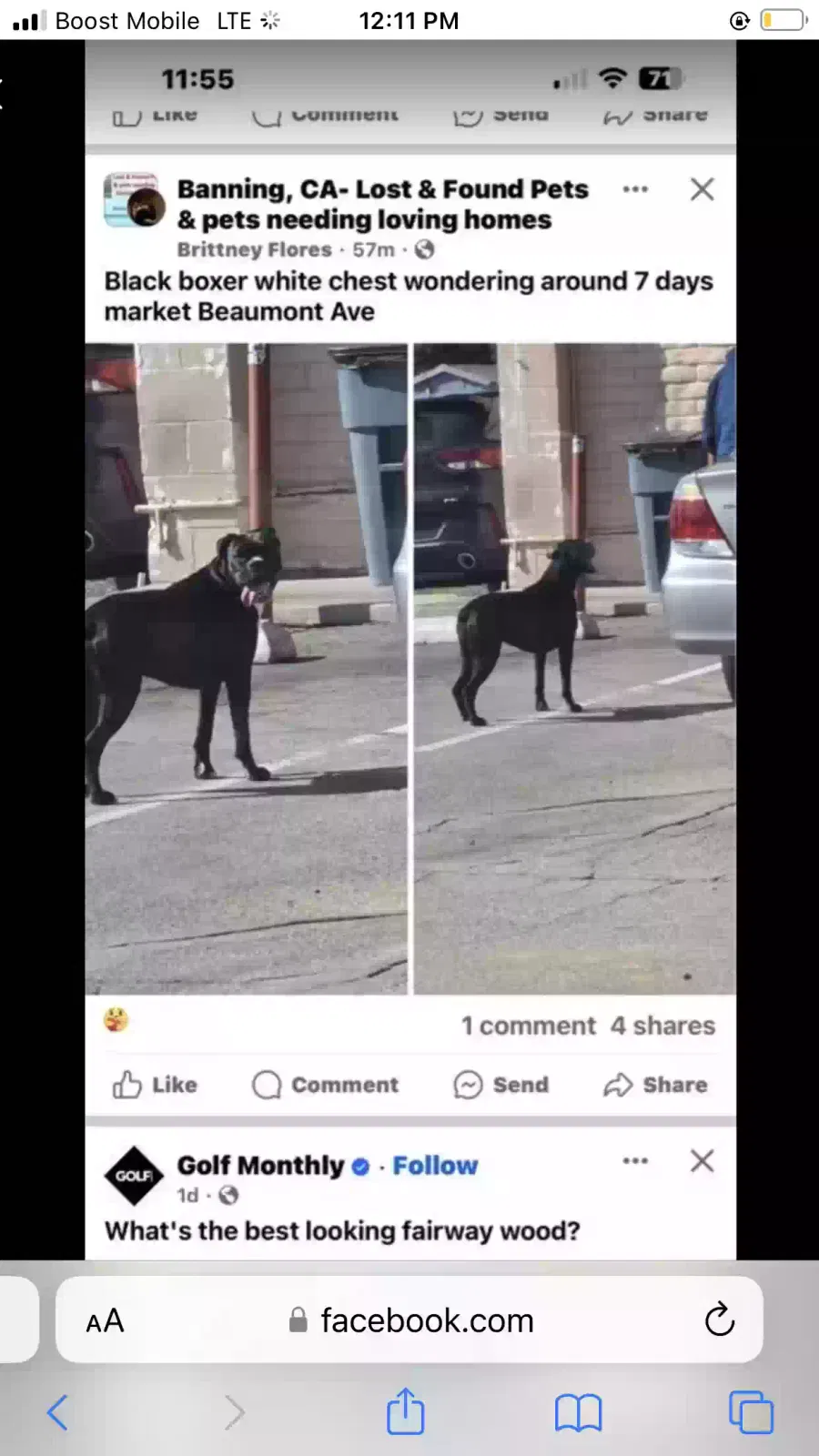 Lost dog in Beaumont, CA, 92223