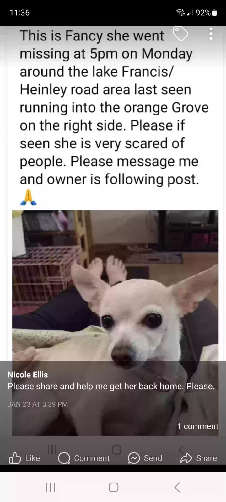 Lost dog in Lake Placid, FL, 33852