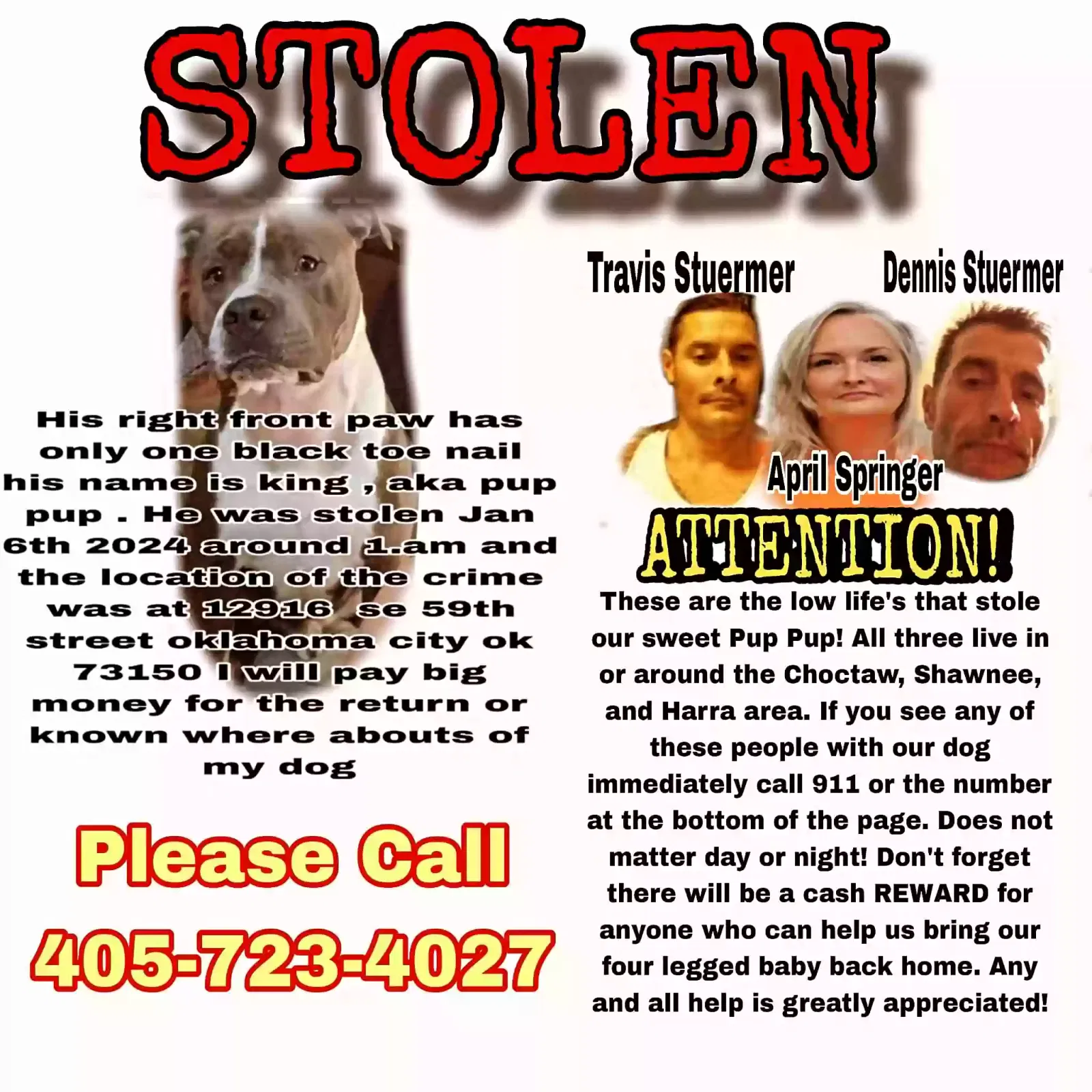 Lost dog in Oklahoma City, OK, 73150