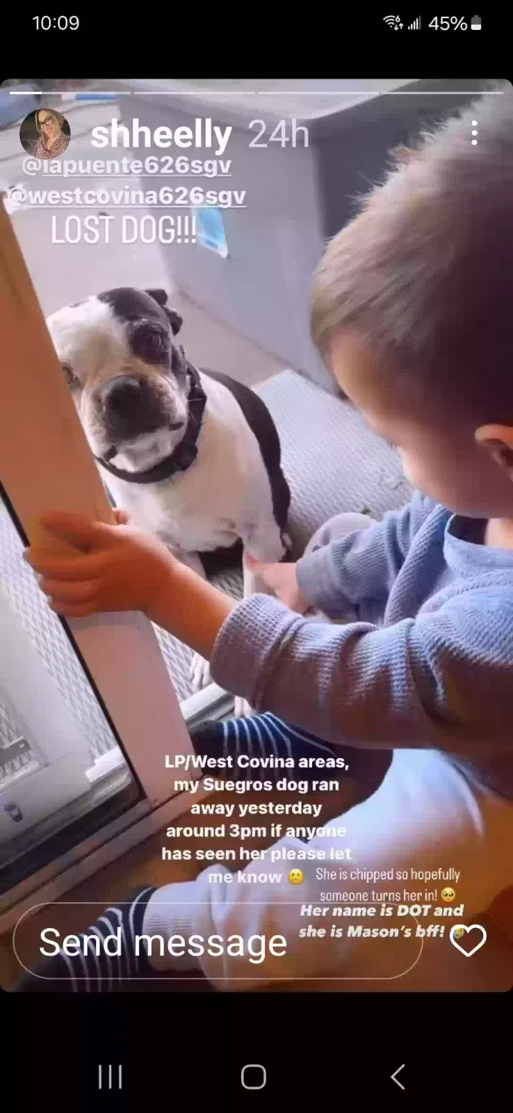 Lost dog in La Puente, CA, 91746