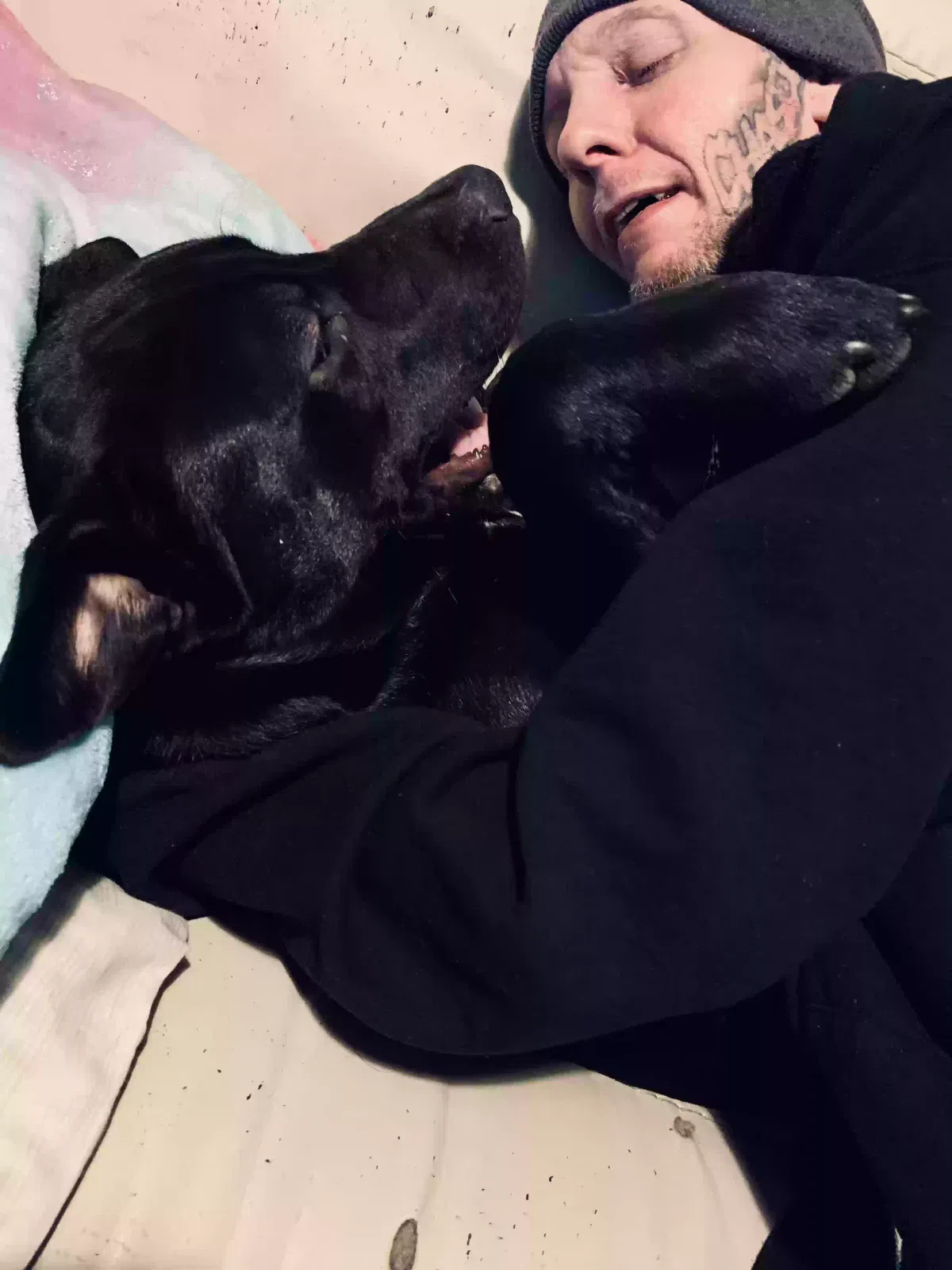 Lost dog in Middletown, OH, 45042