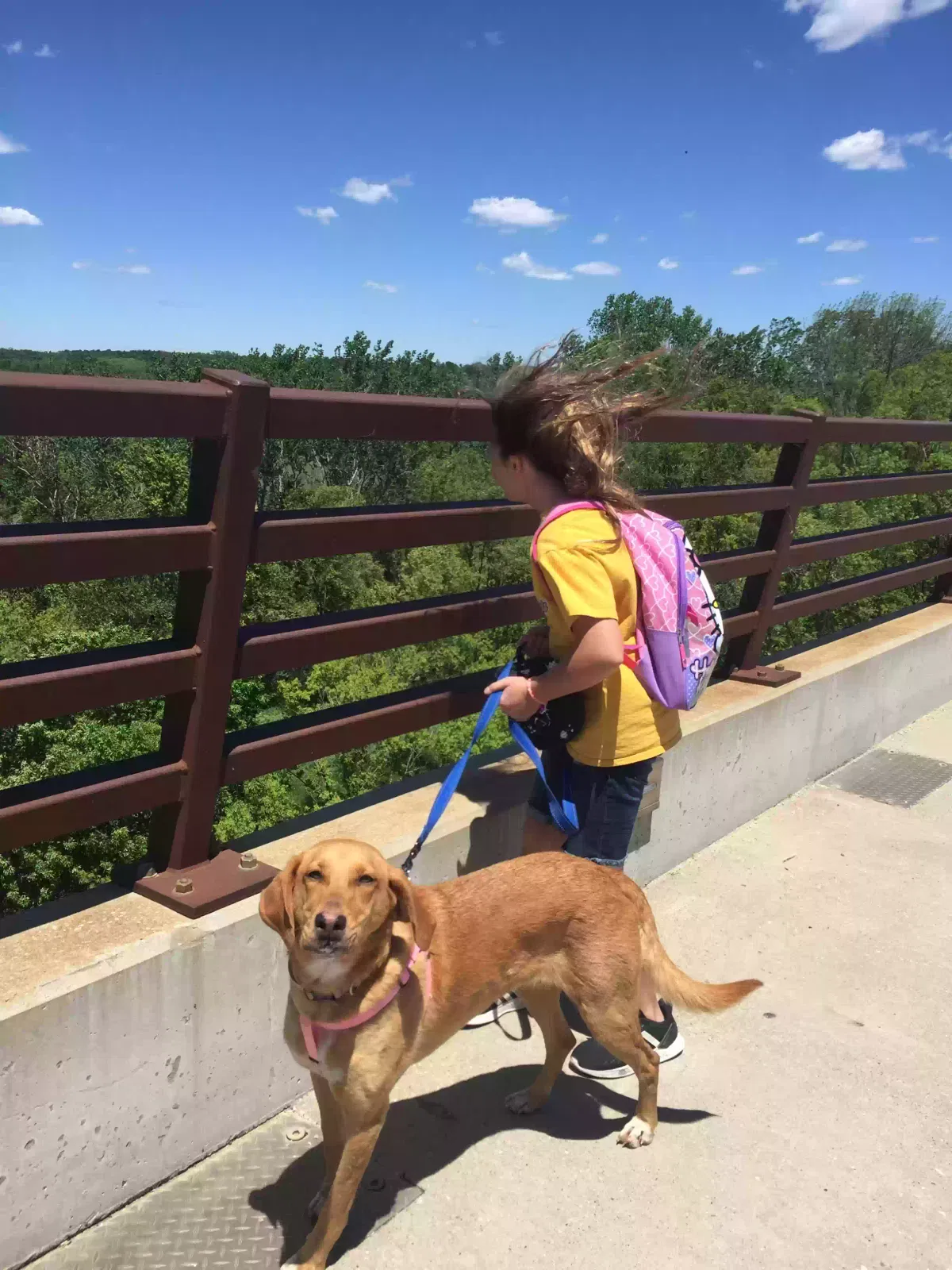 Lost dog in Ottumwa, IA, 52501