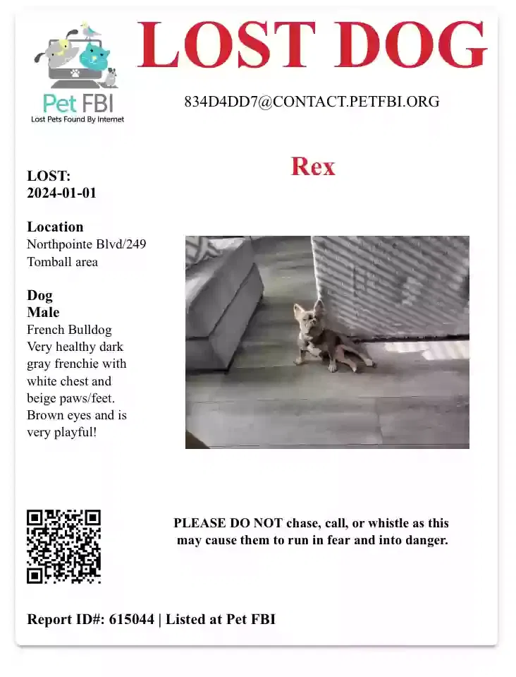 Lost dog in Tomball, TX, 77377