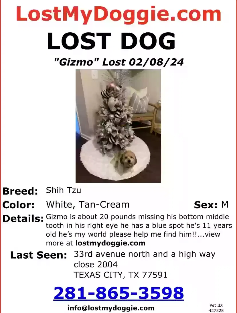 Lost dog in Texas City, TX, 77591