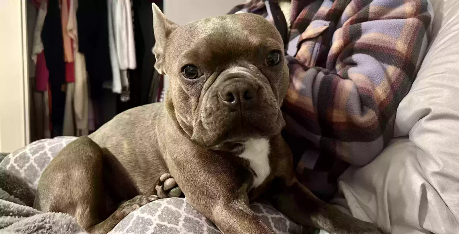 Lost dog in Stanwood, WA, 98292