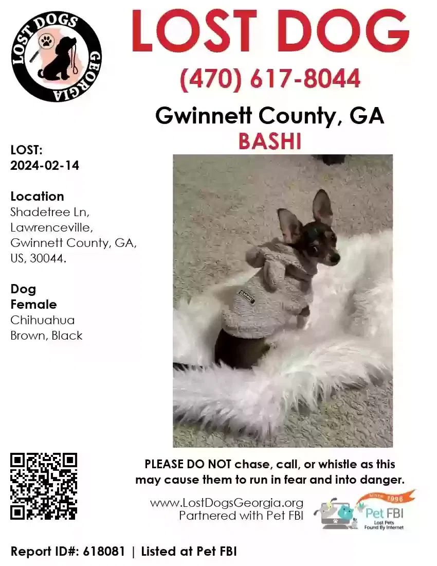 Lost dog in Dry Run, PA, 17220