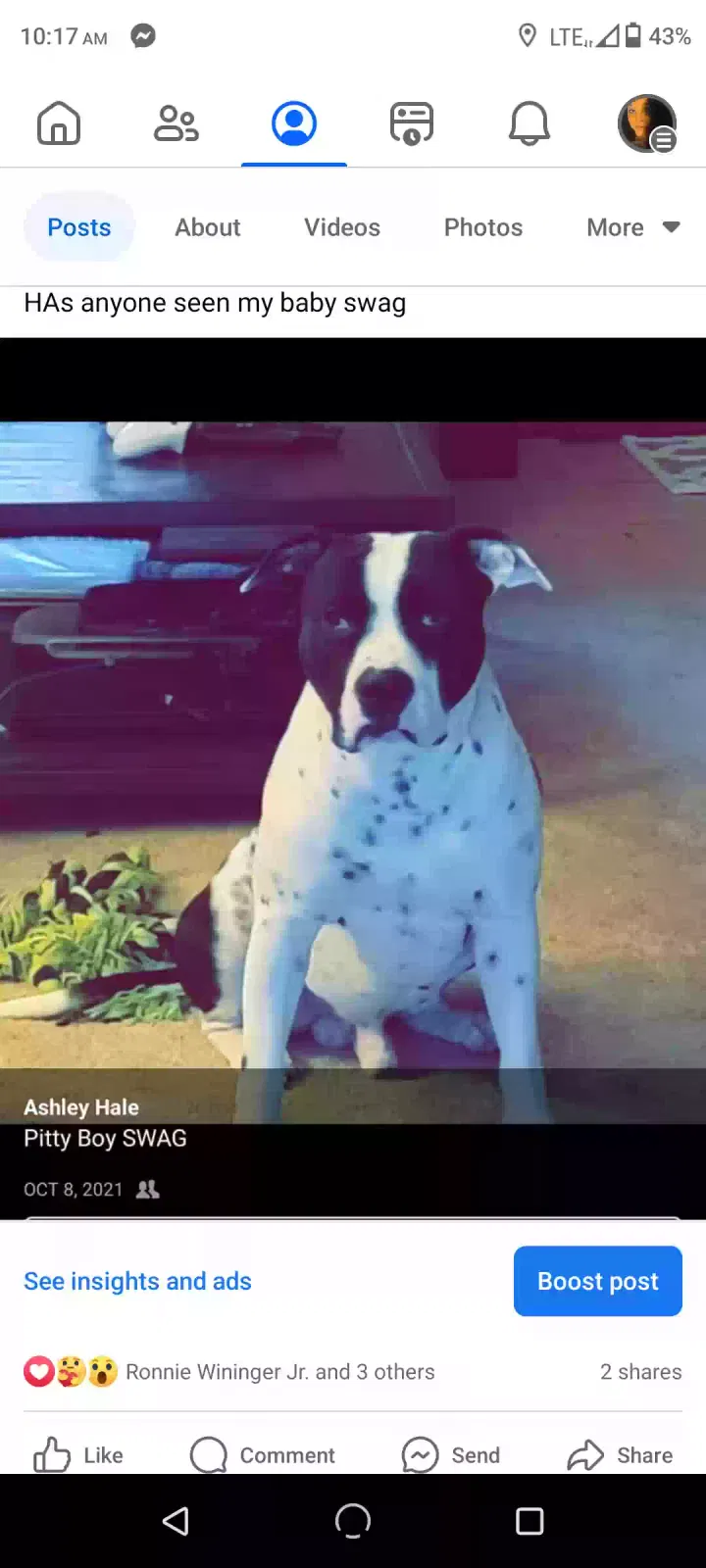 Lost dog in Hardin, KY, 42048