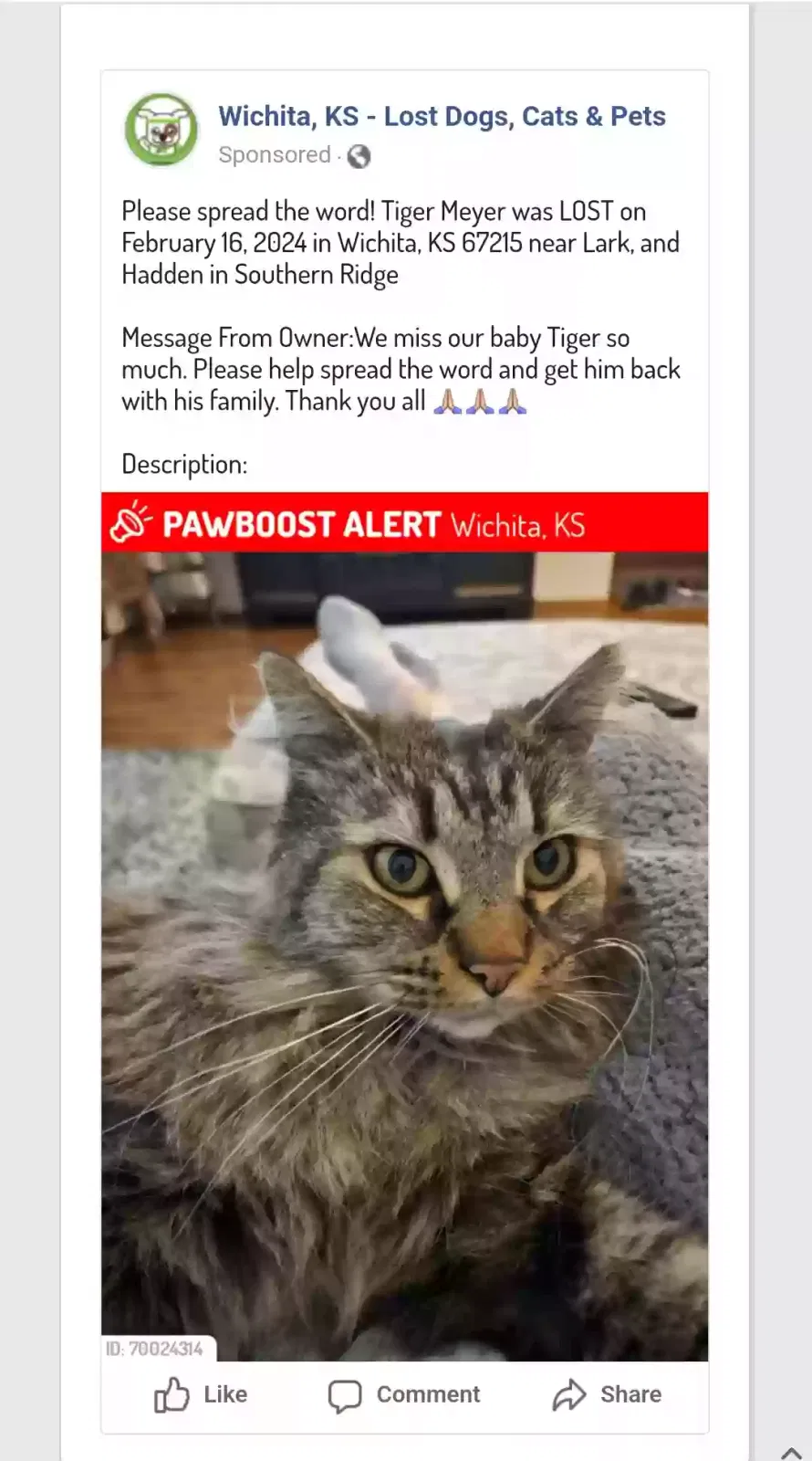 Lost cat in Wichita, KS, 67215