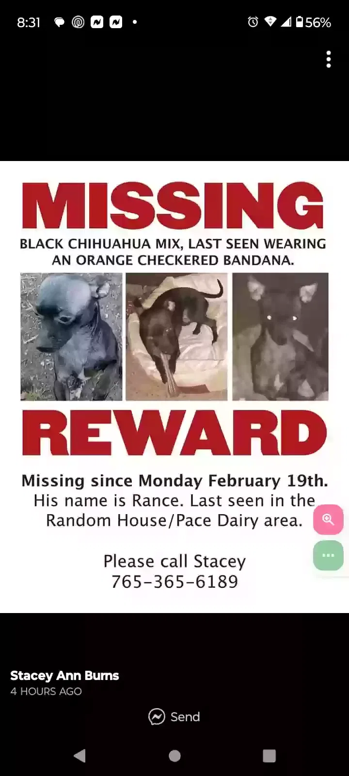 Lost dog in Crawfordsville, IN, 47933