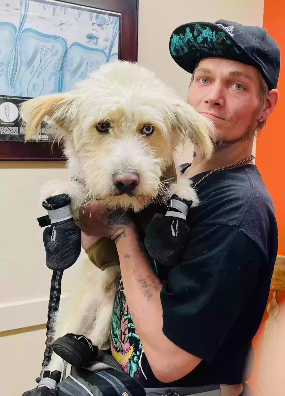 Lost dog in Los Angeles, CA, 90015