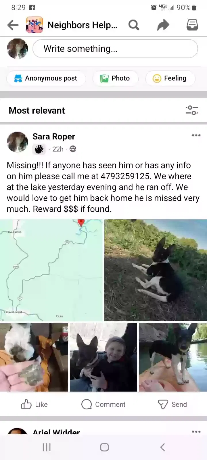 Lost dog in Alpena, AR, 72611