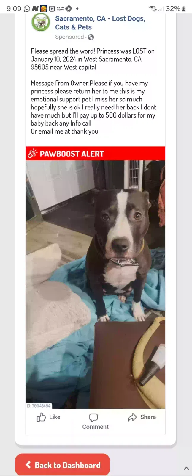 Lost dog in West Sacramento, CA, 95691