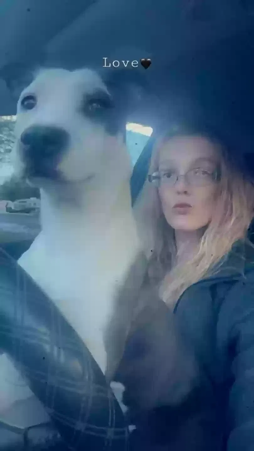Lost dog in Sparta, TN, 38583