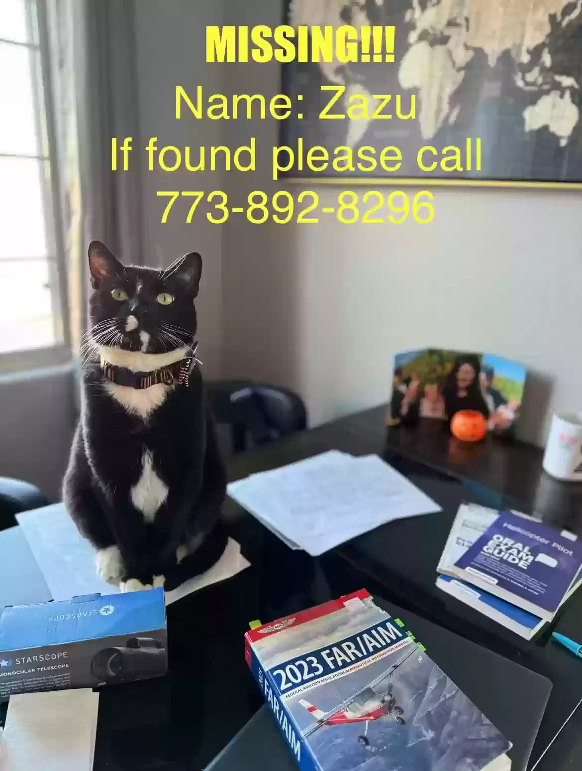 Lost cat in Las Vegas, NV, 89131