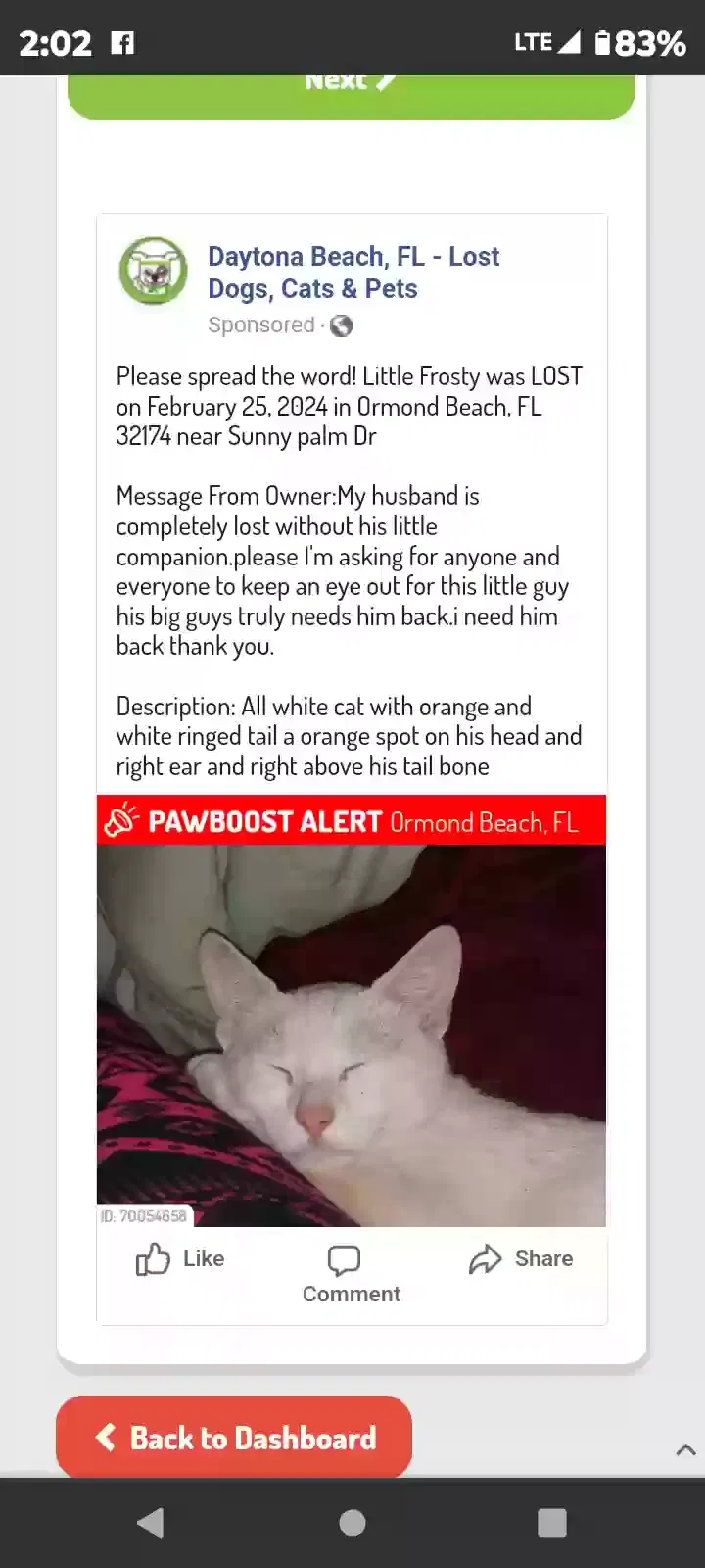 Lost cat in Ormond Beach, FL, 32174