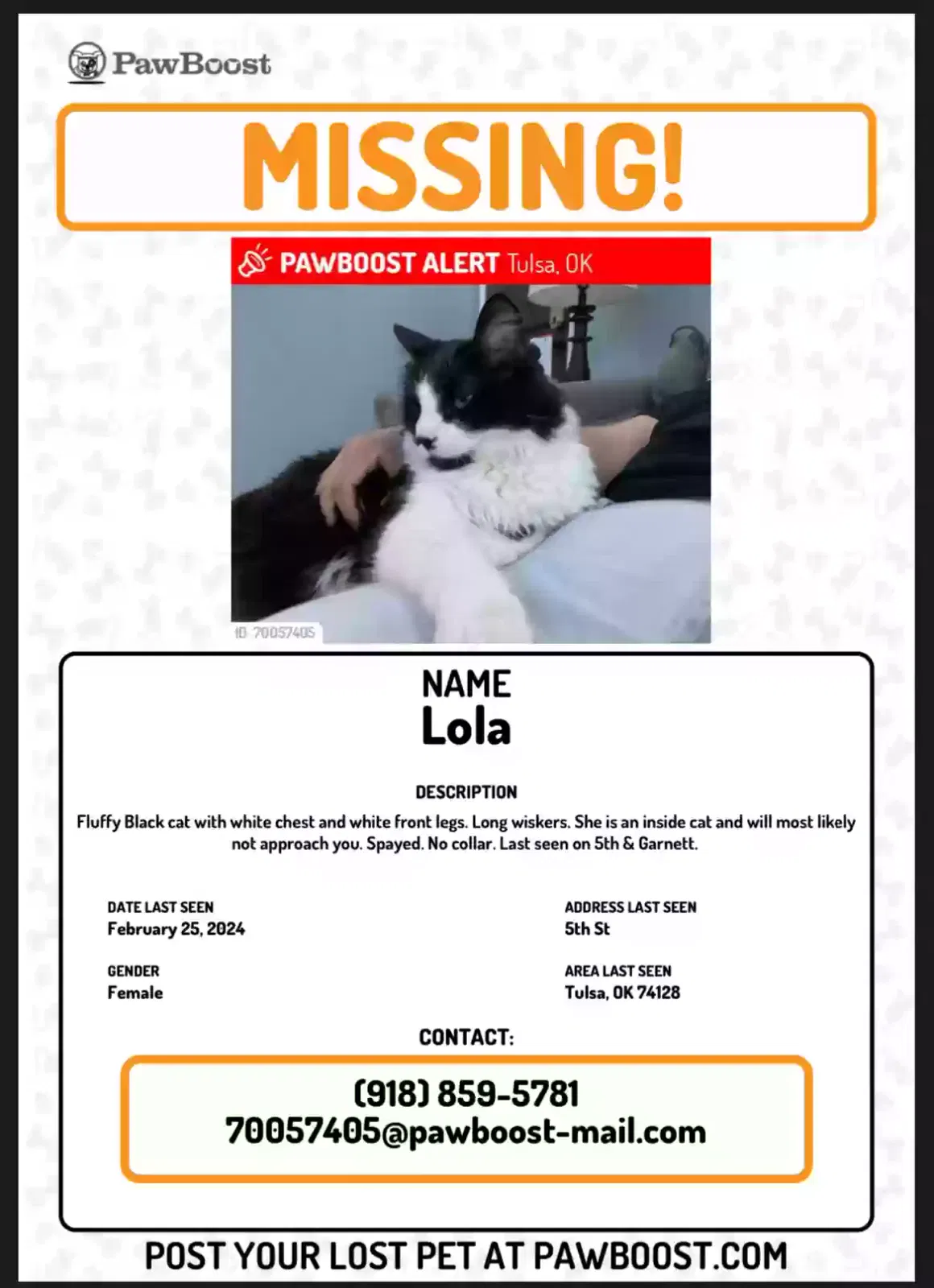 Lost cat in Tulsa, OK, 74128