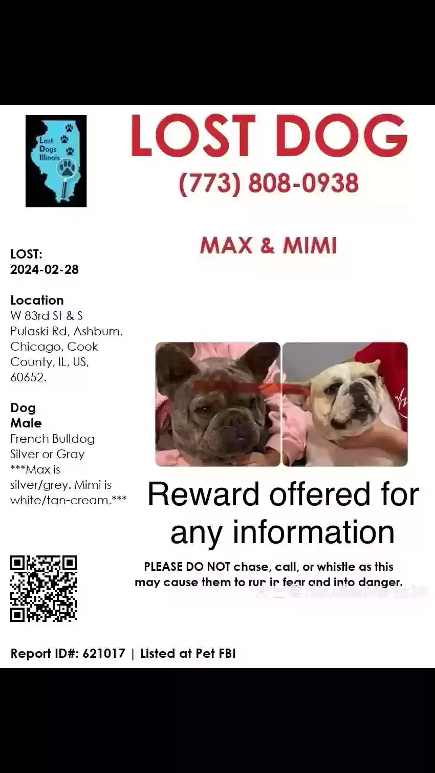 Lost dog in Chicago, IL, 60652