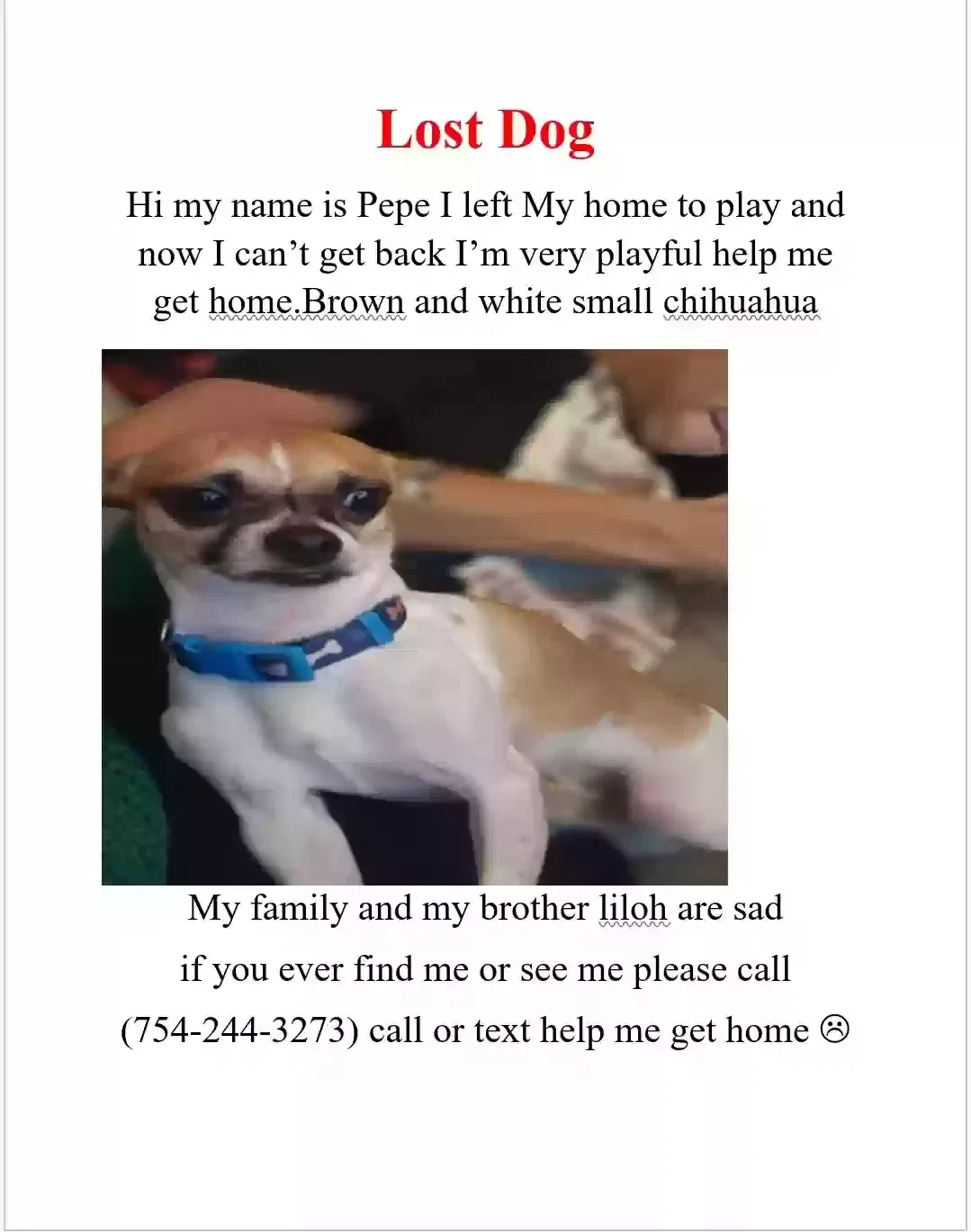 Lost dog in Pompano Beach, FL, 33065