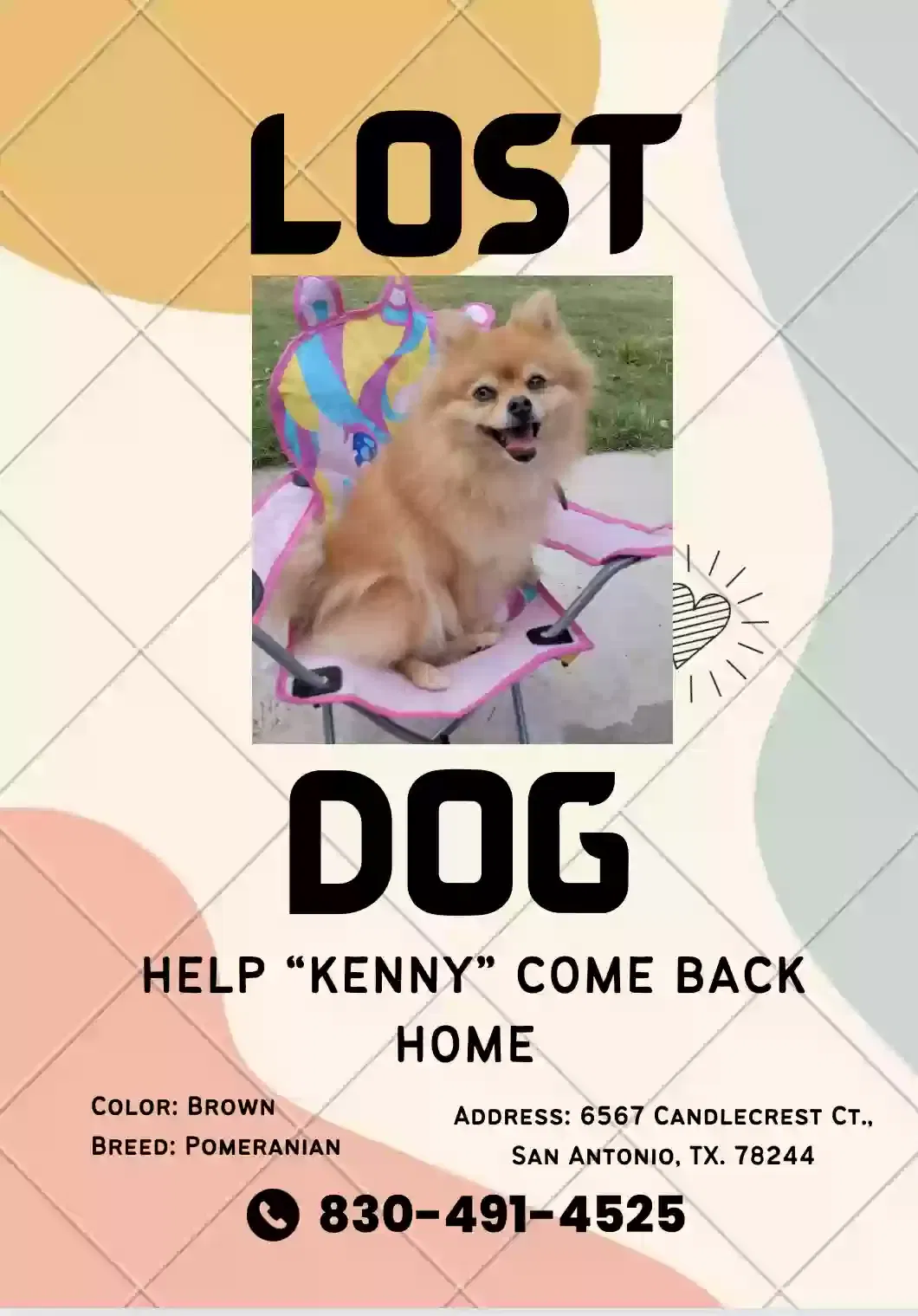 Lost dog in San Antonio, TX, 78244