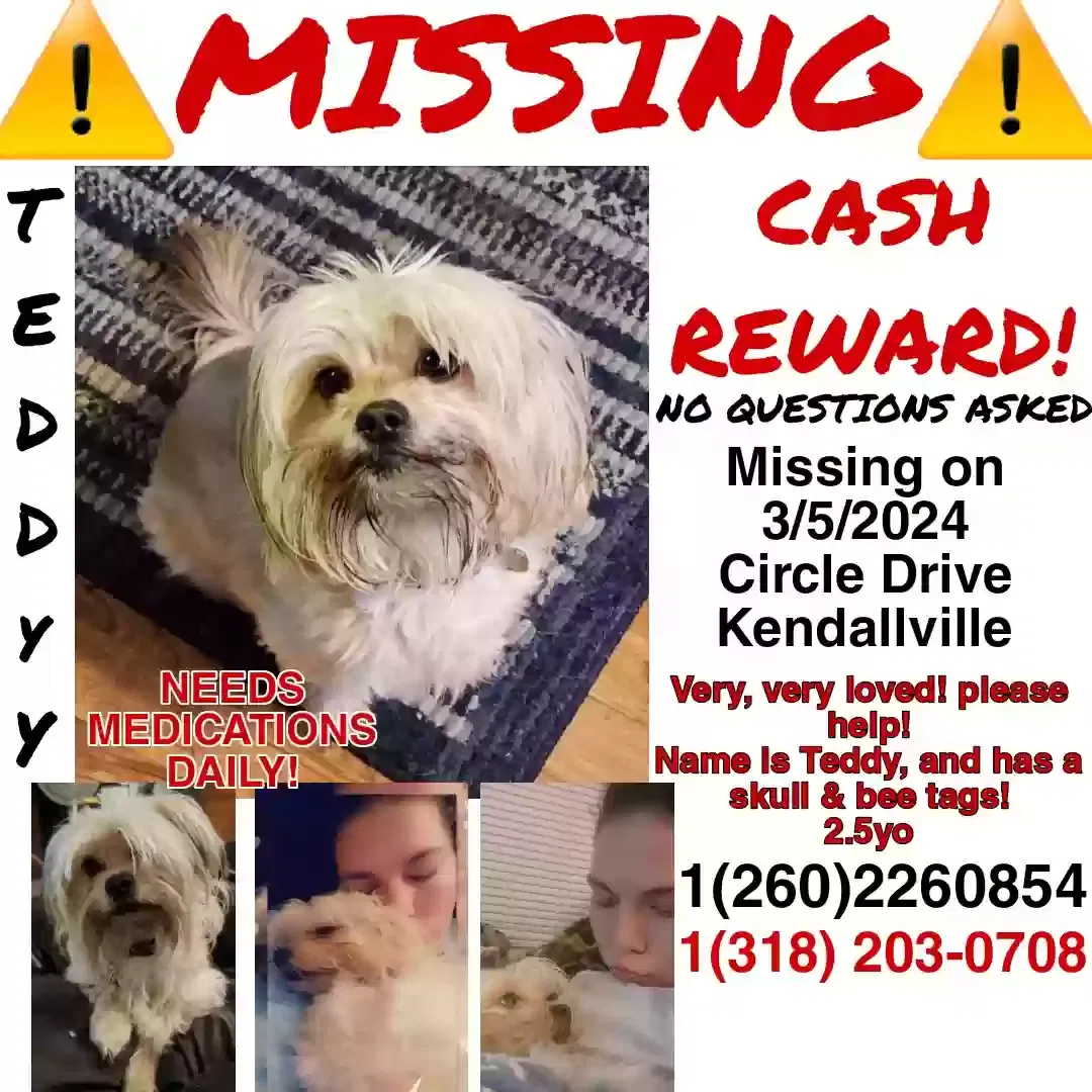 Lost dog in Kendallville, IN, 46755