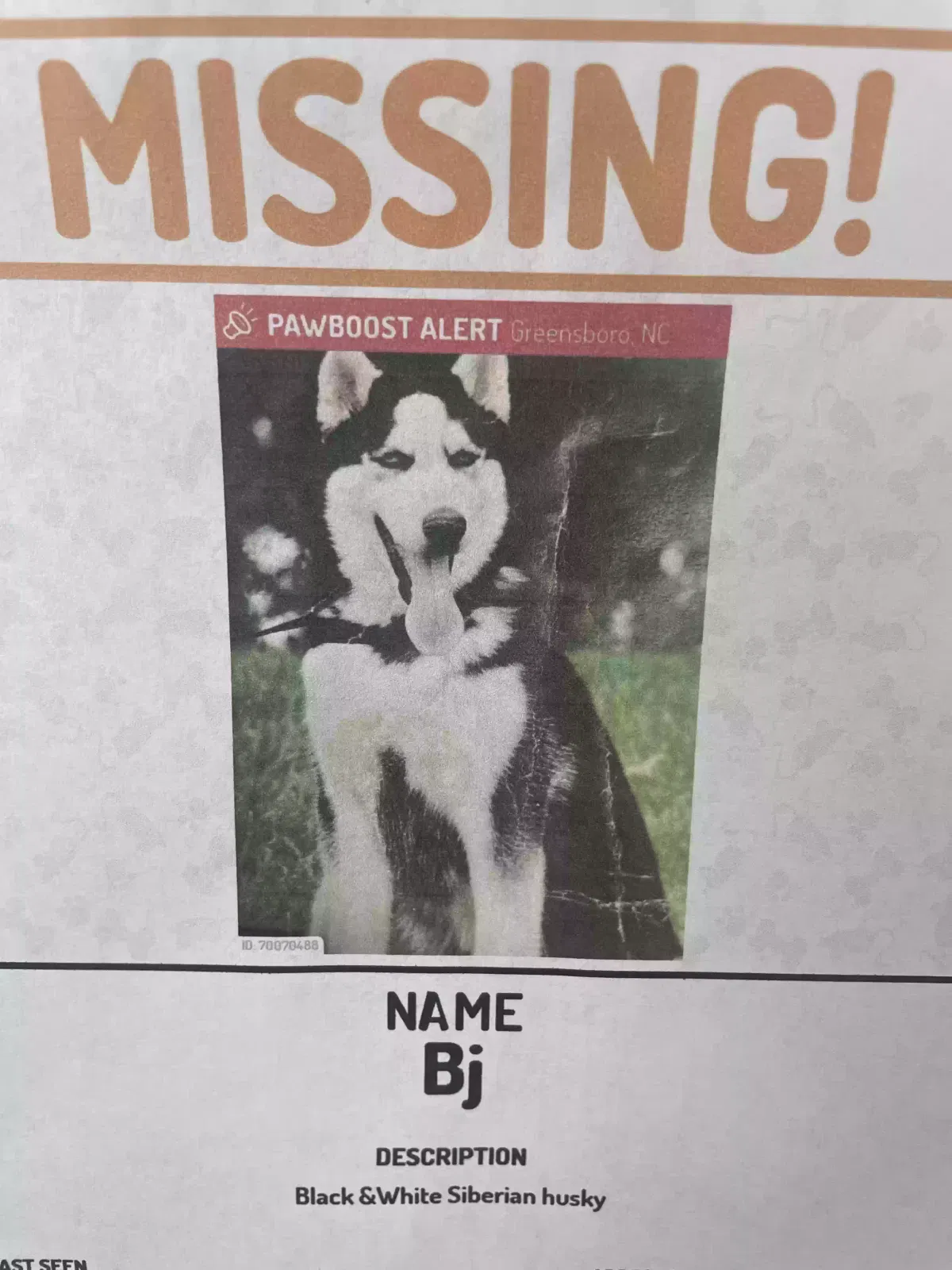 Lost dog in Greensboro, NC, 27406