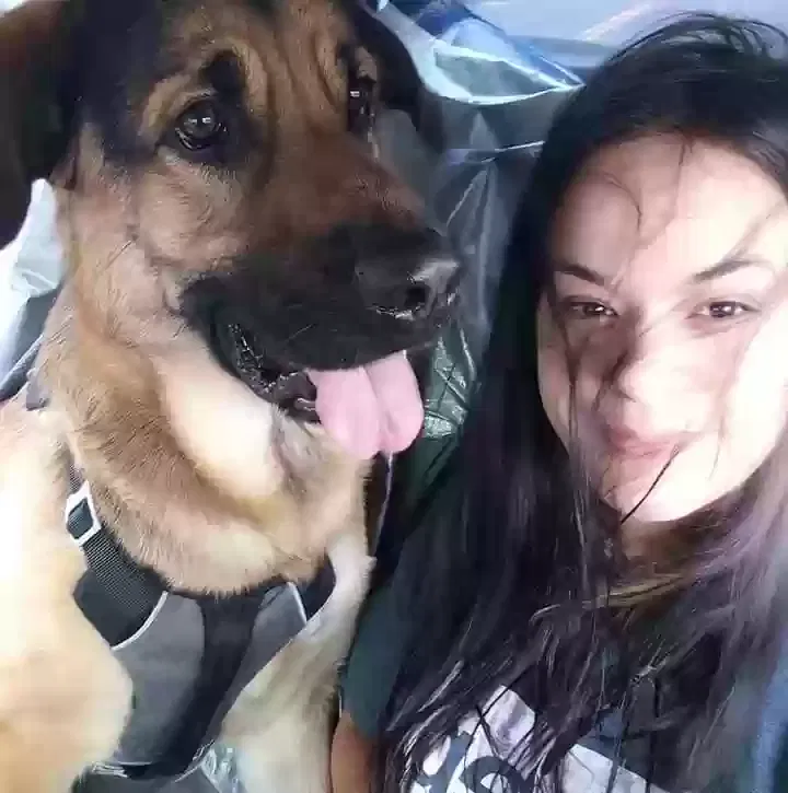 Lost dog in Bainbridge, NY, 13733