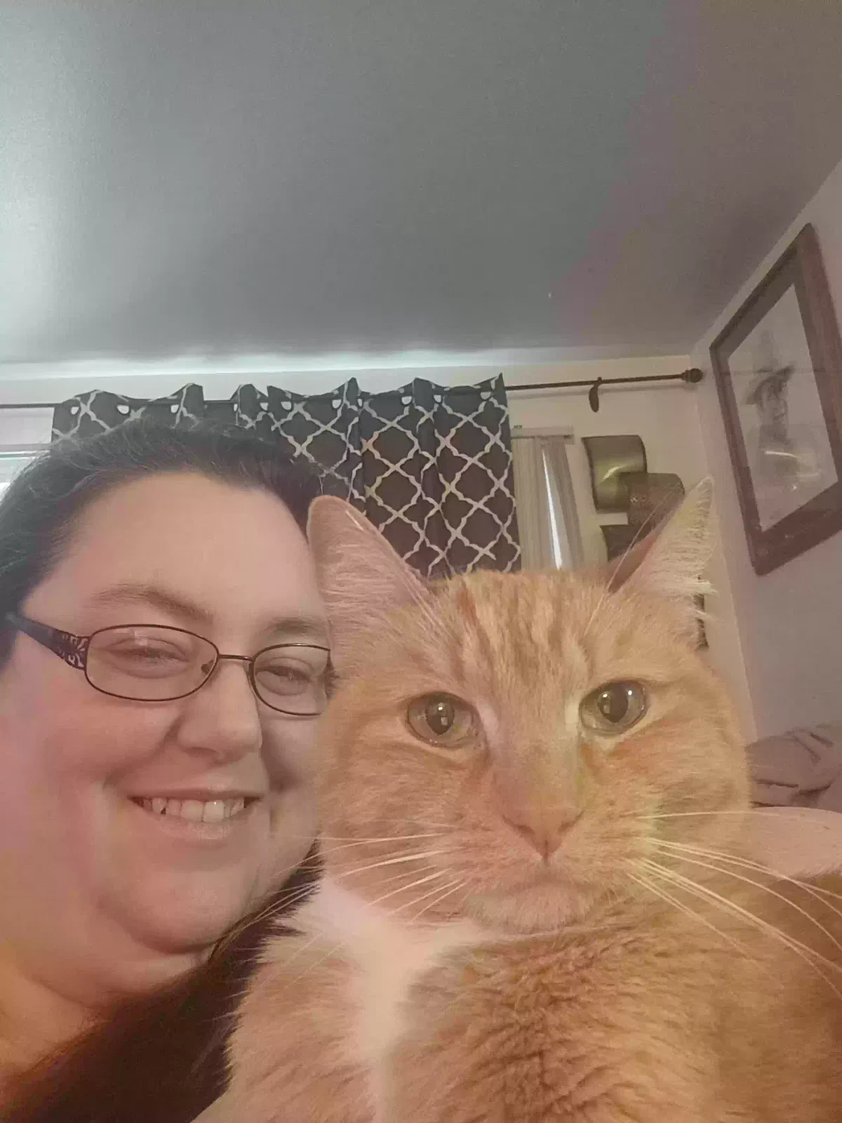 Lost cat in Sun Valley, NV, 89433