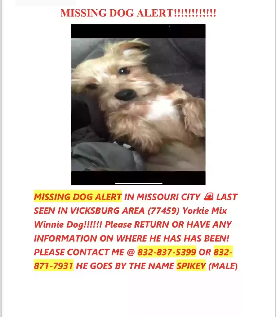 Lost dog in Missouri City, TX, 77459
