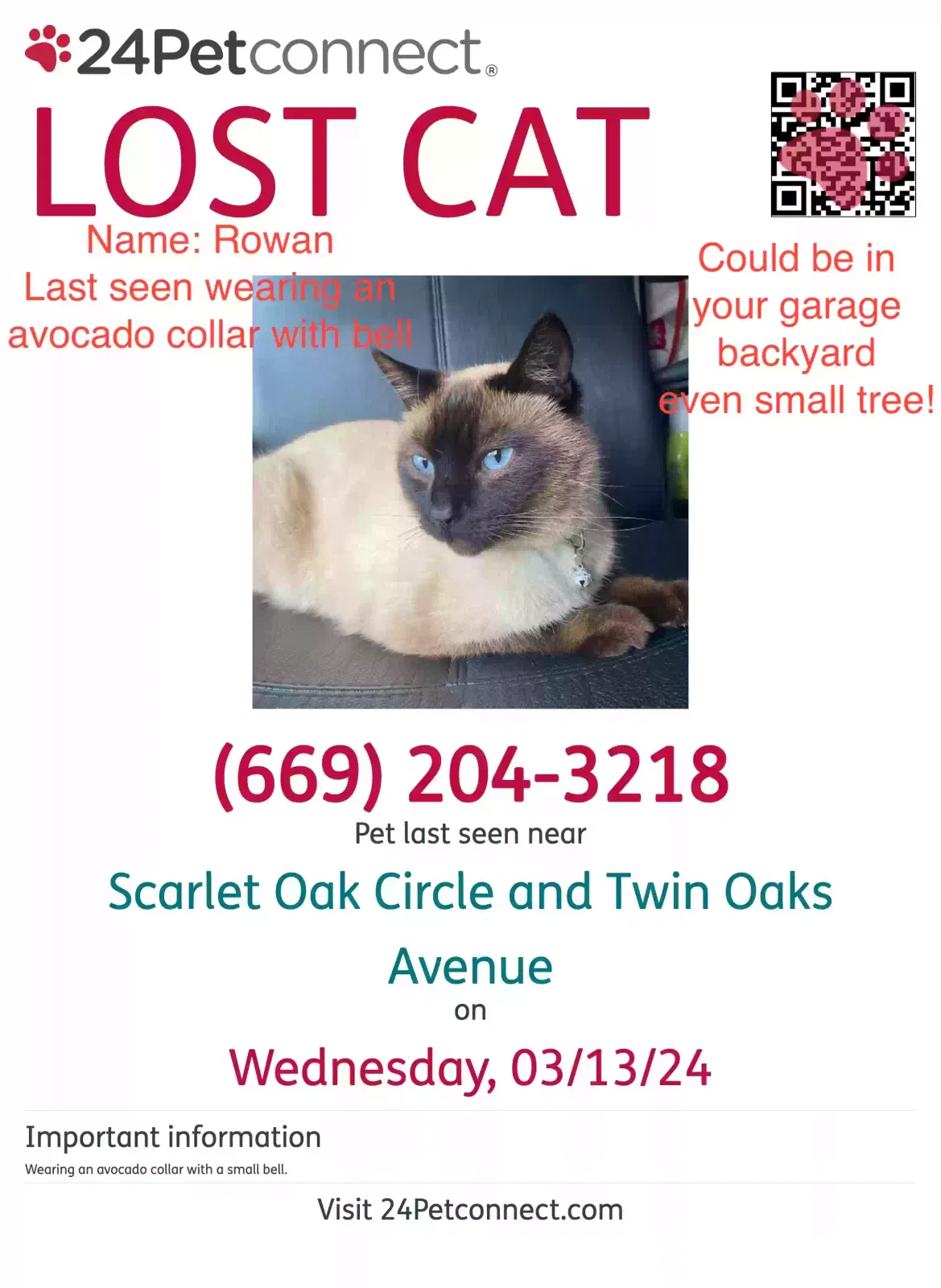 Lost cat in Citrus Heights, CA, 95610