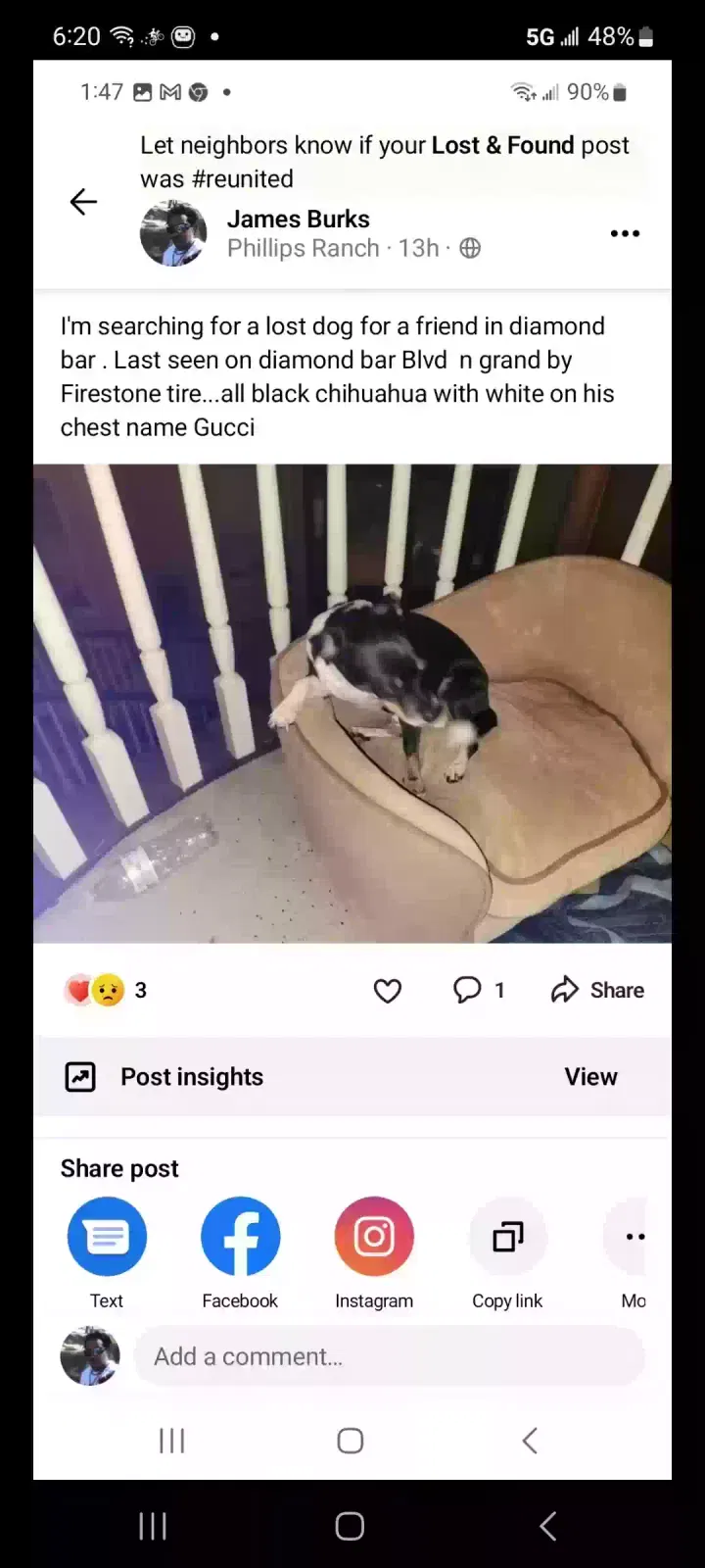 Lost dog in Diamond Bar, CA, 91765