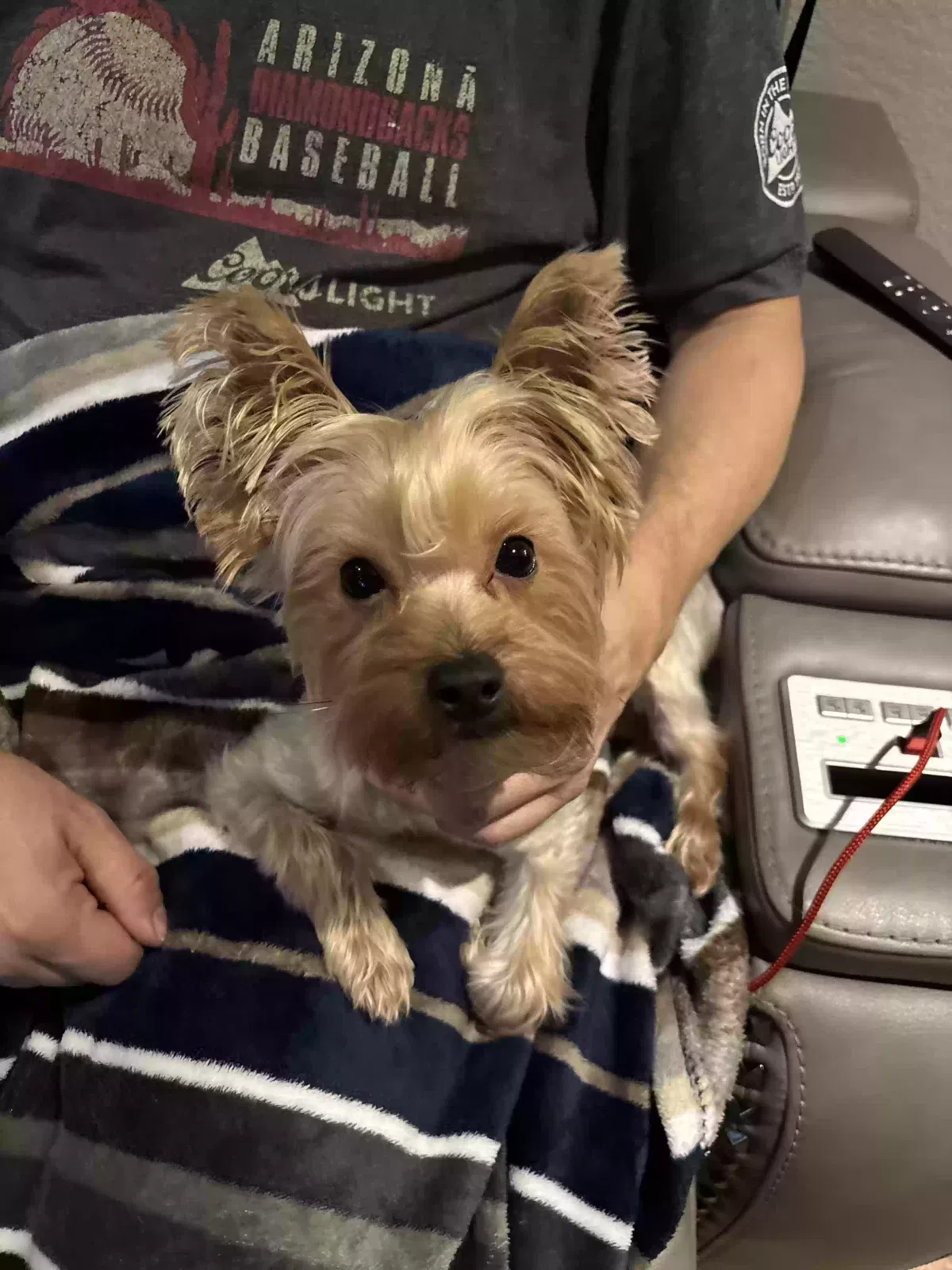Lost dog in Mckinney, TX, 75070