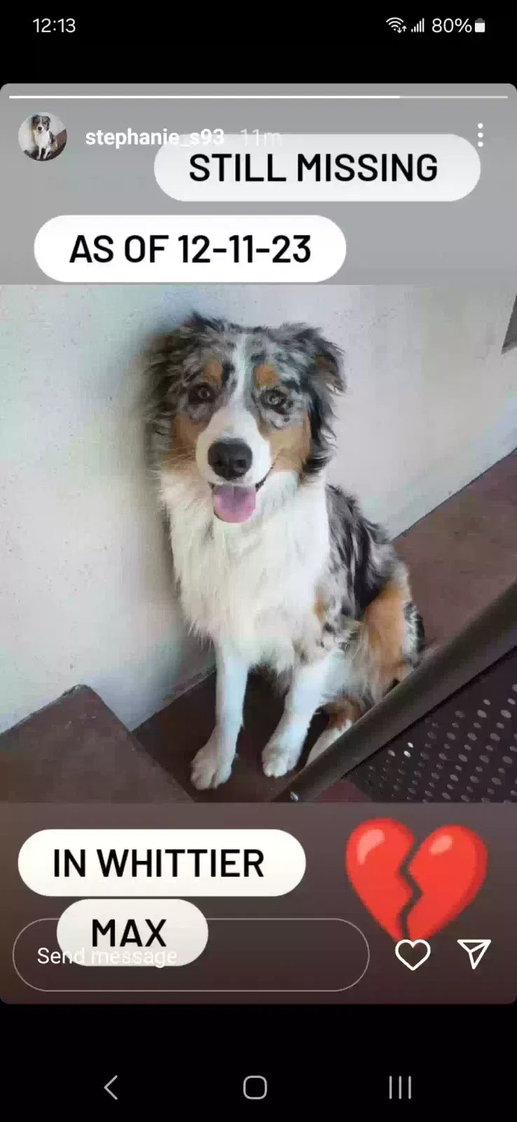 Lost dog in Whittier, CA, 90602