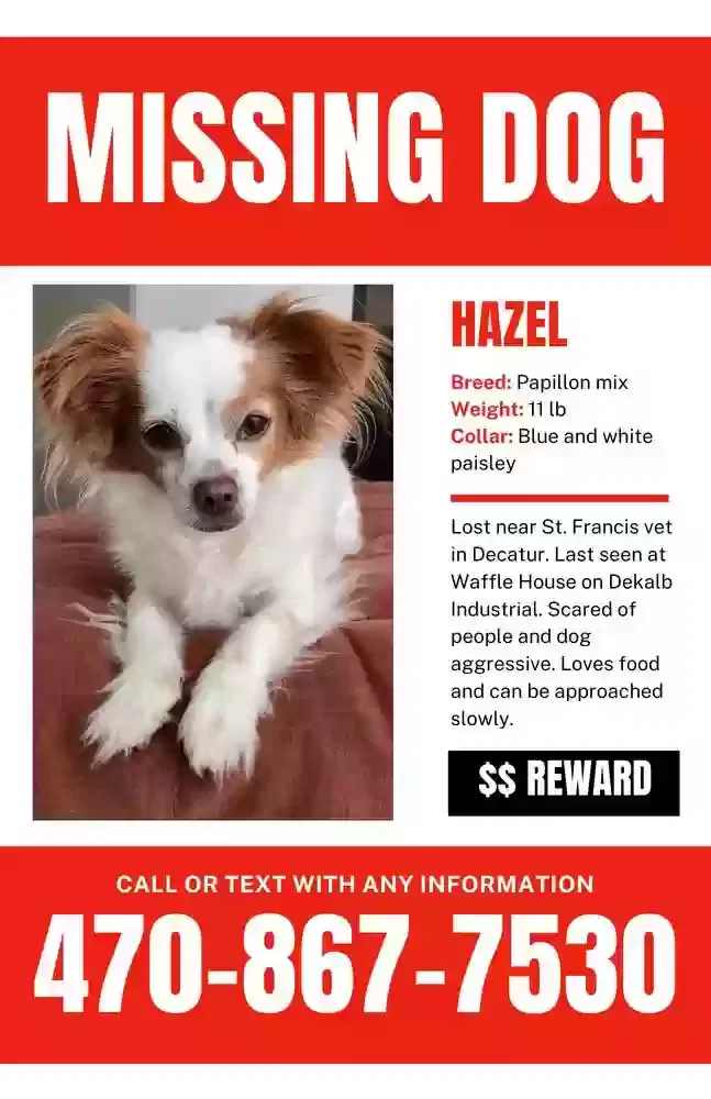 Lost dog in Decatur, GA, 30033