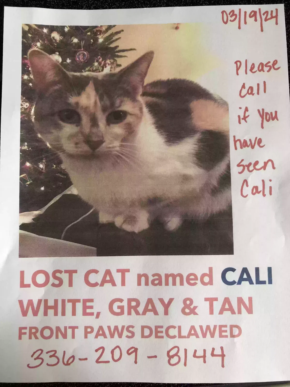 Lost cat in High Point, NC, 27265