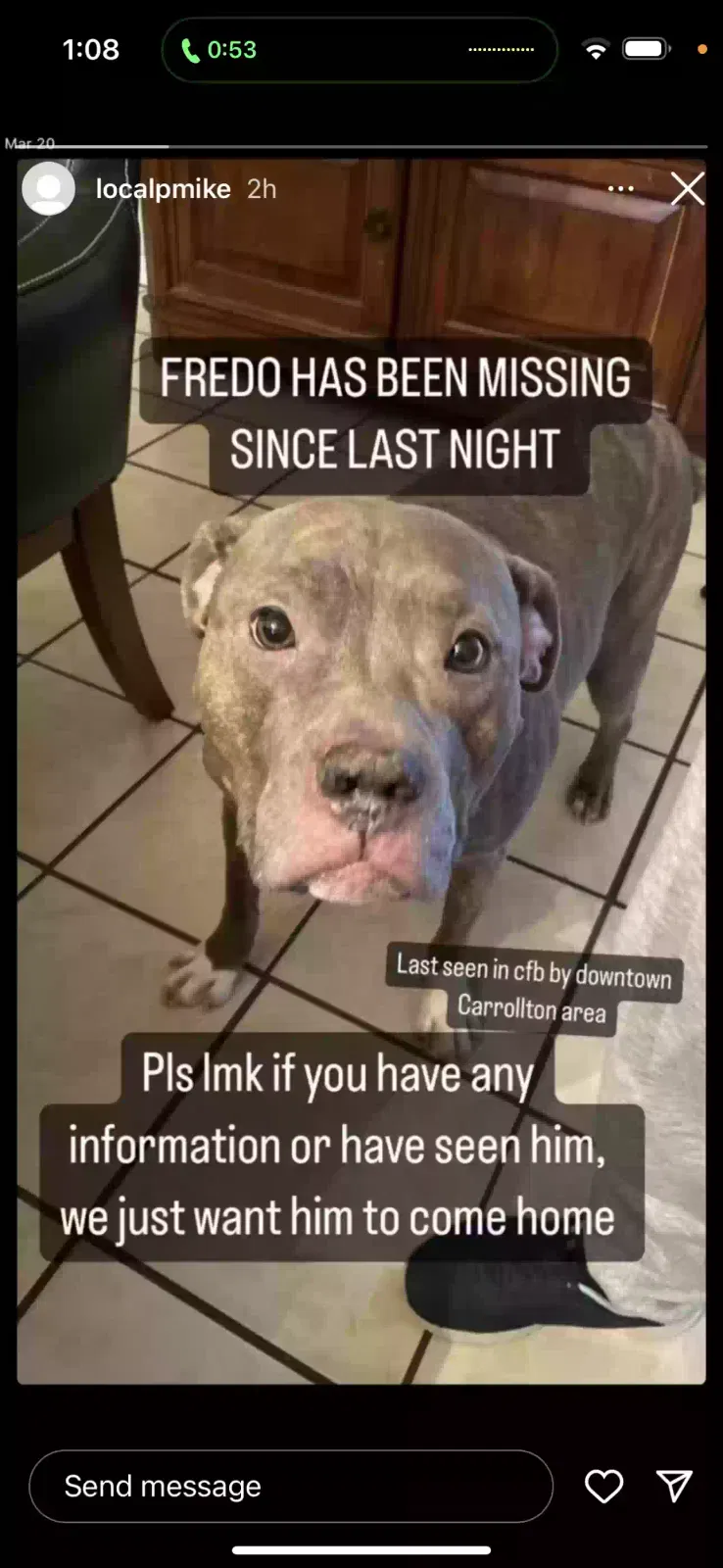 Lost dog in Carrollton, TX, 75006