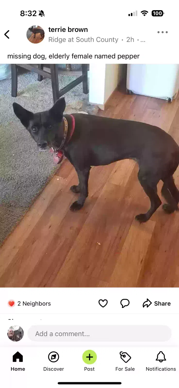 Lost dog in Bixby, OK, 74008