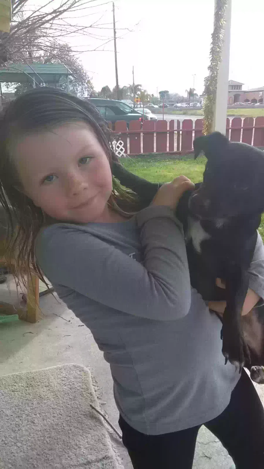 Lost dog in Los Banos, CA, 93635