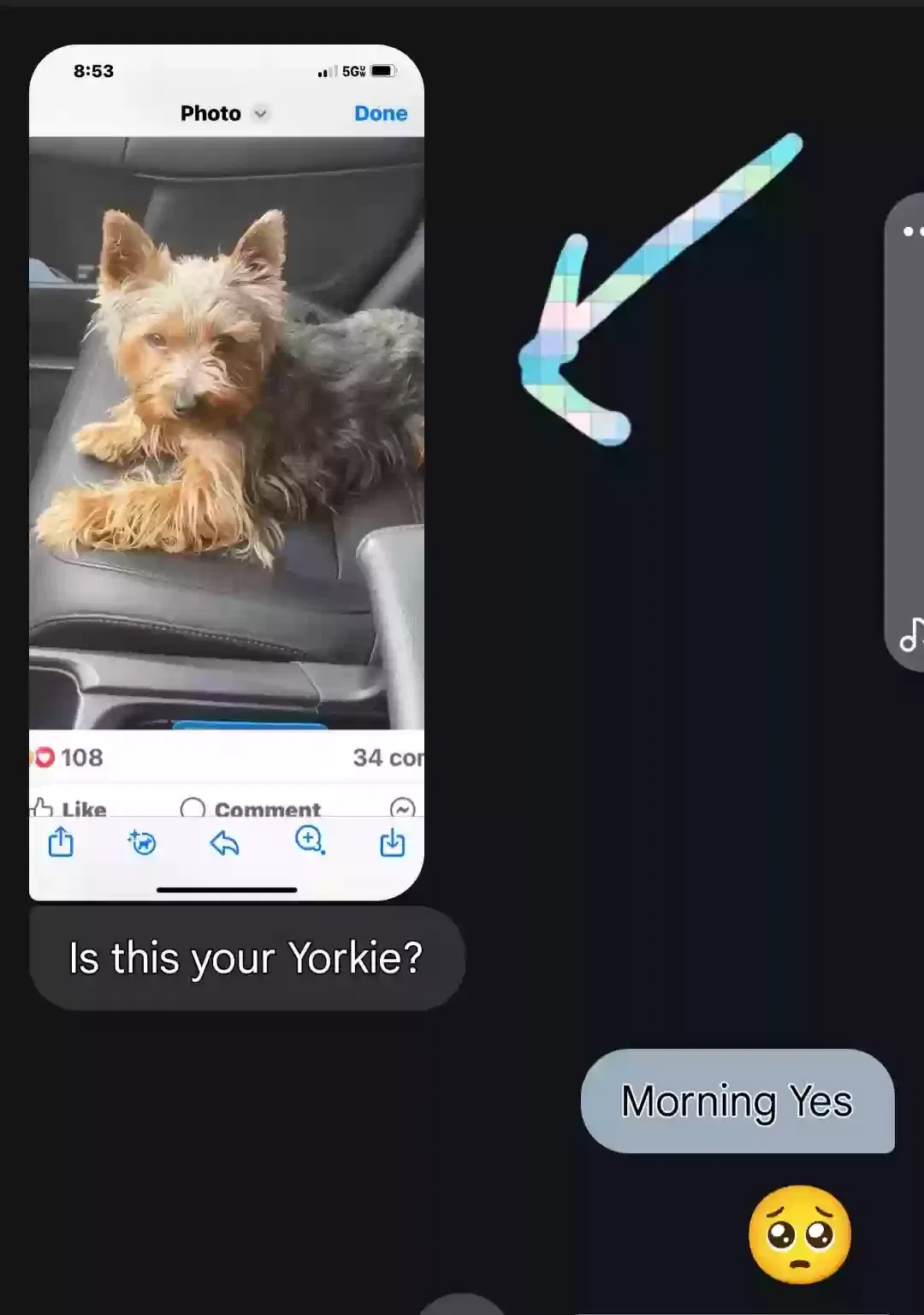 Lost dog in Ontario, CA, 91762