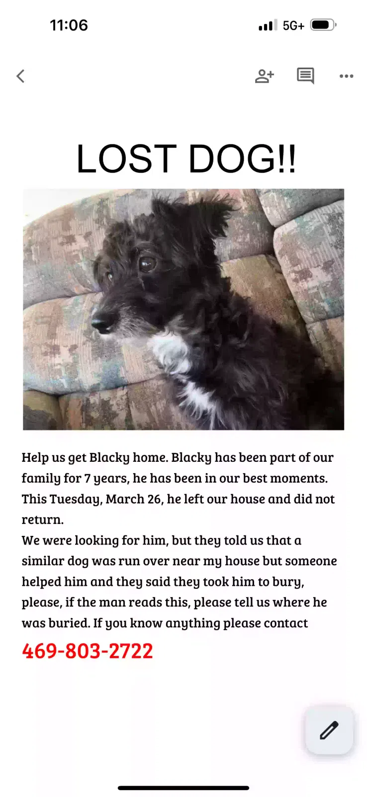 Lost dog in Garland, TX, 75041
