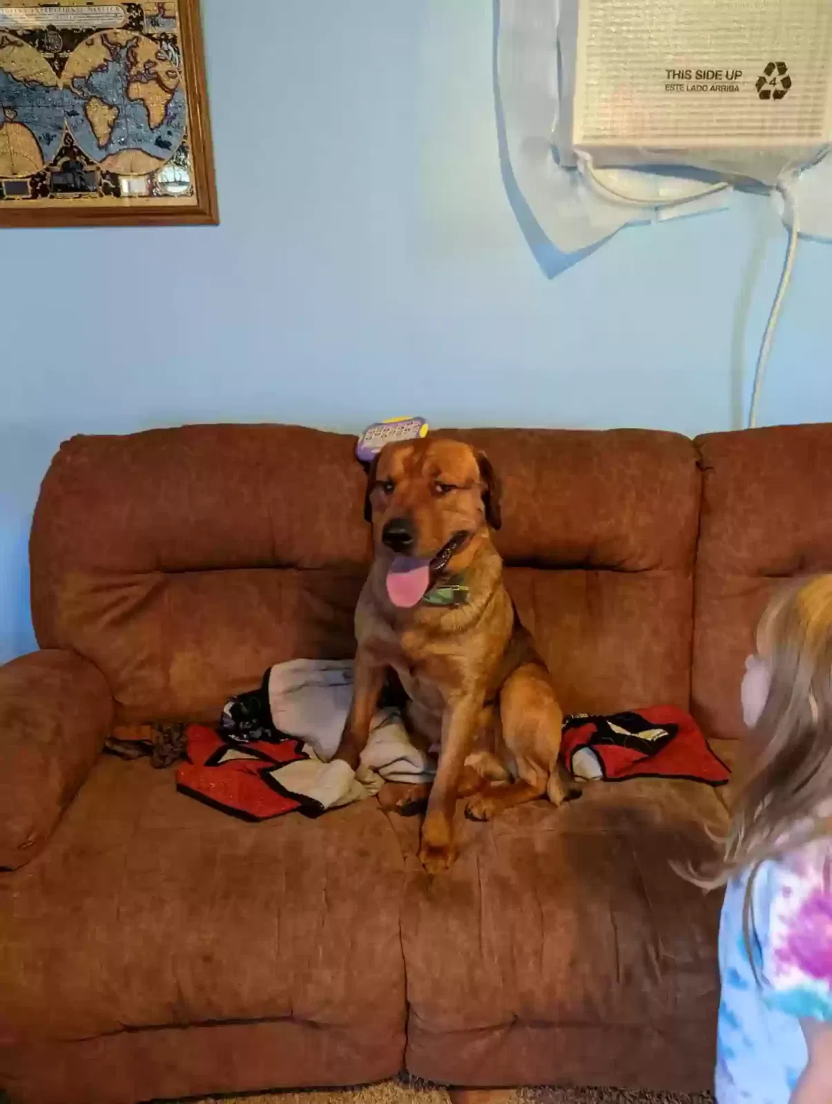 Lost dog in Biggers, AR, 72413