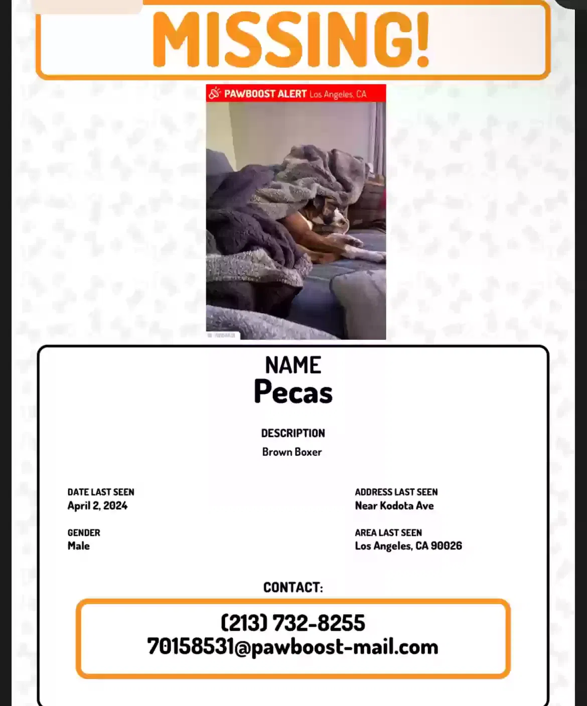 Lost dog in Chino, CA, 91710