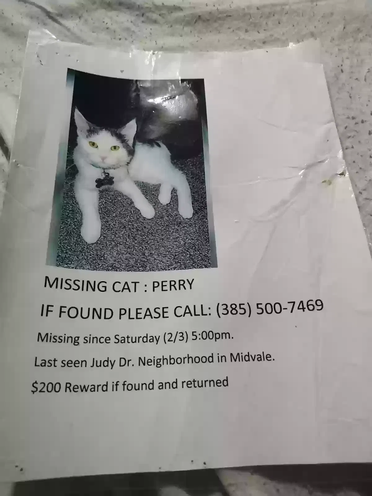 Lost cat in Sandy, UT, 84070