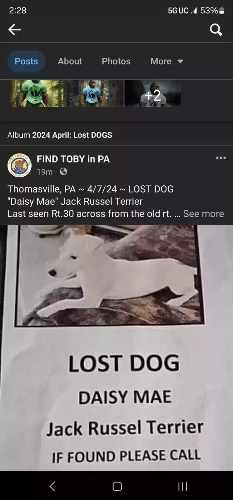 Lost dog in Thomasville, PA, 17364
