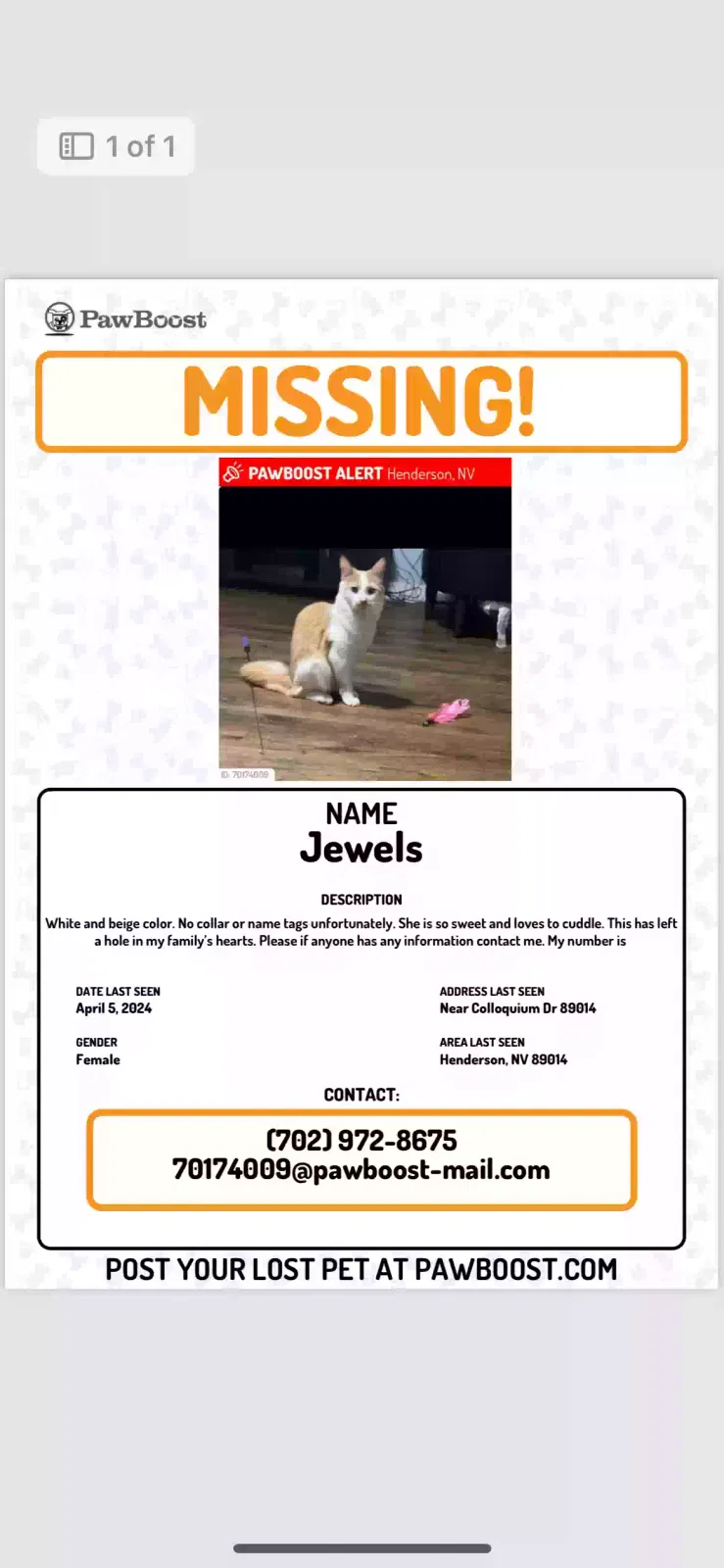 Lost cat in Henderson, NV, 89014