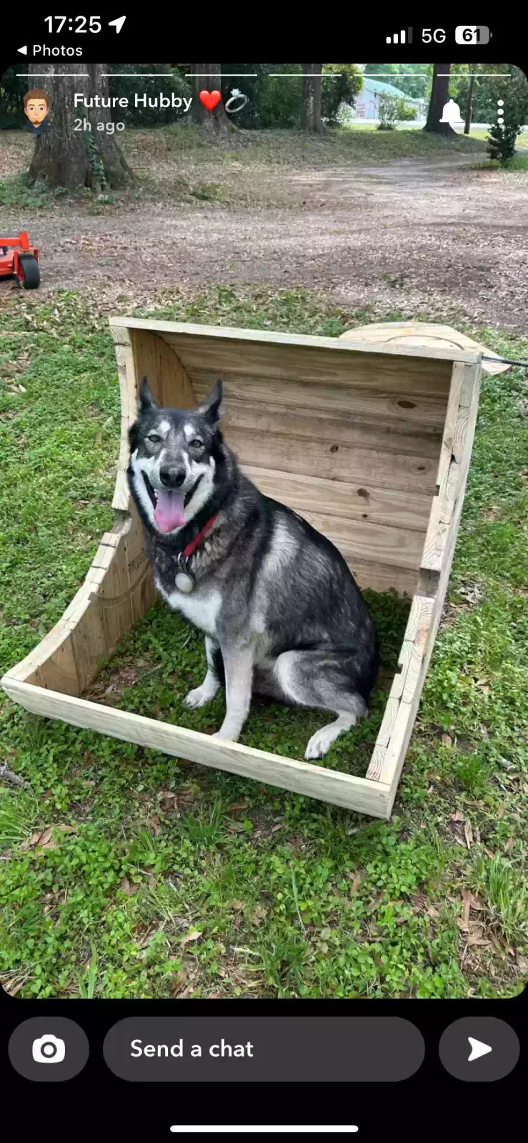 Lost dog in Woodville, TX, 75979