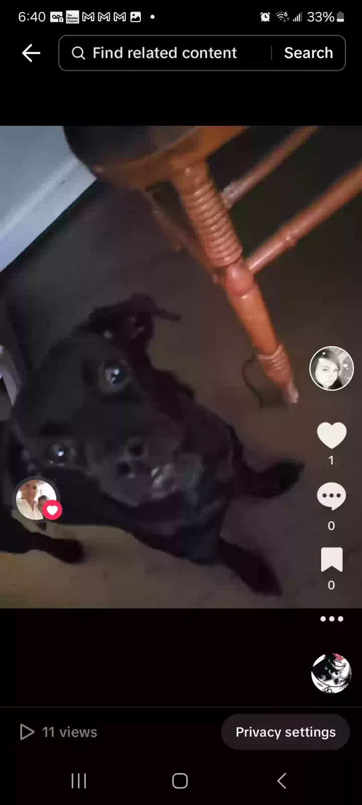 Lost dog in Harrisonville, MO, 64701