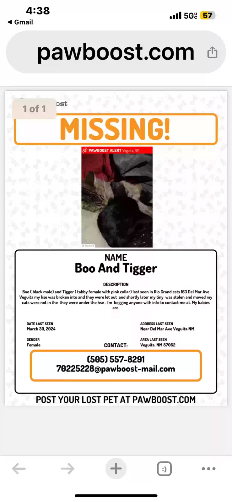 Lost cat in Veguita, NM, 87062