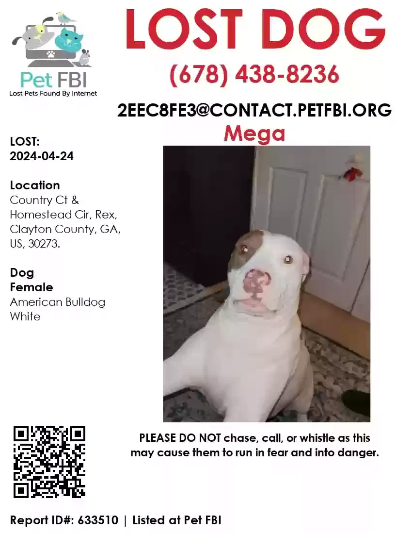 Lost dog in Rex, GA, 30273